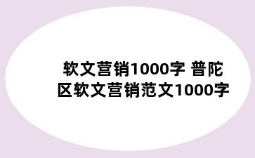 软文营销1000字 普陀区软文营销范文1000字